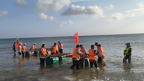 海�龙马照片2.png 海�龙马照片2.png